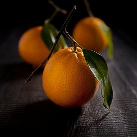 Sinaasappels van Studio Windtkracht