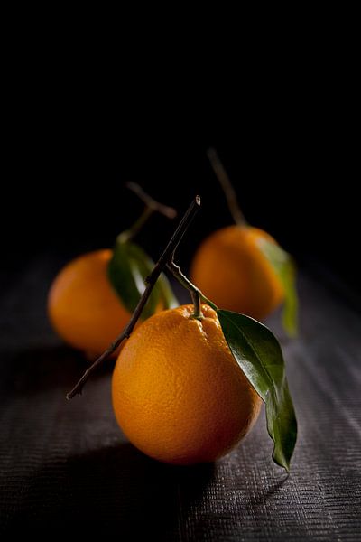 Oranges by Studio Windtkracht
