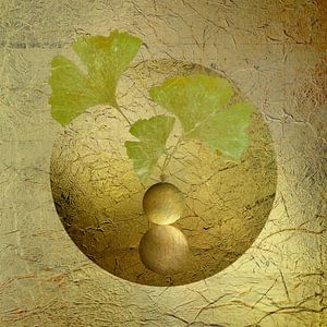 Ginkgo. Gleichgewicht. Grün.