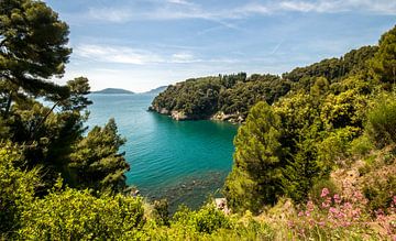 baai Italie van Alexander Cox