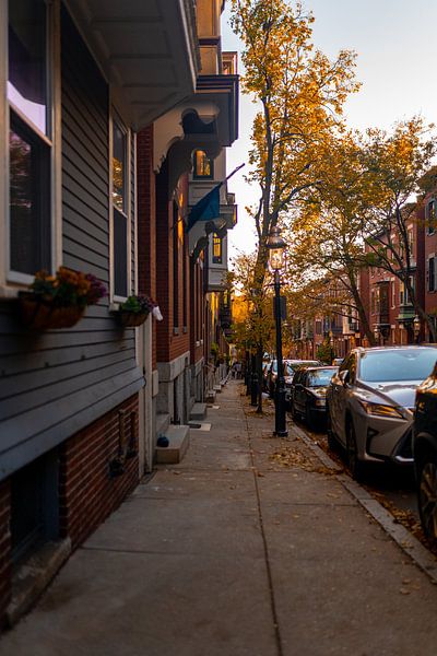 Boston by Hello Pompoyo
