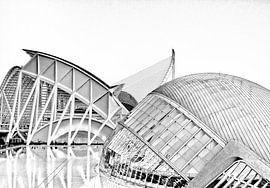 Valencia von Ken Kühlbrandt