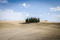 Tuscan road
