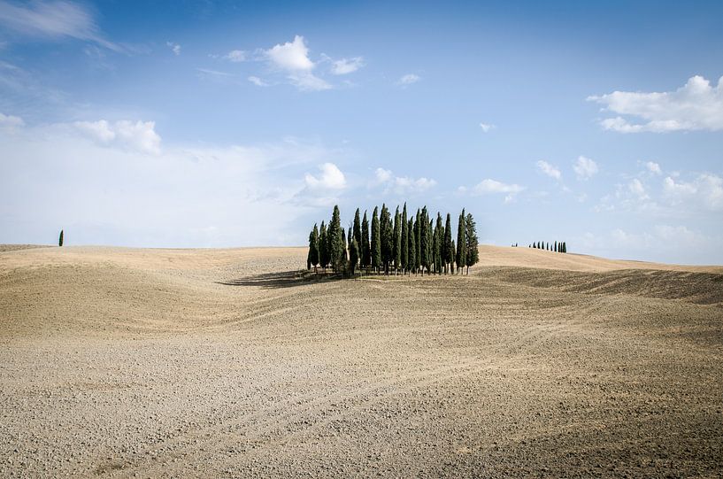 Tuscan road by Gerben van den Hazel