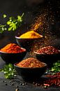 Variety of spices by Poster Art Shop thumbnail