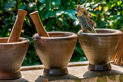Three pots with pounders in a windowsill in Devon, England