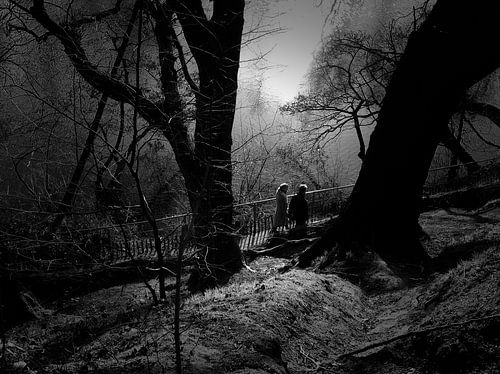 Romantische wandeling in het Park by Marc Pennartz