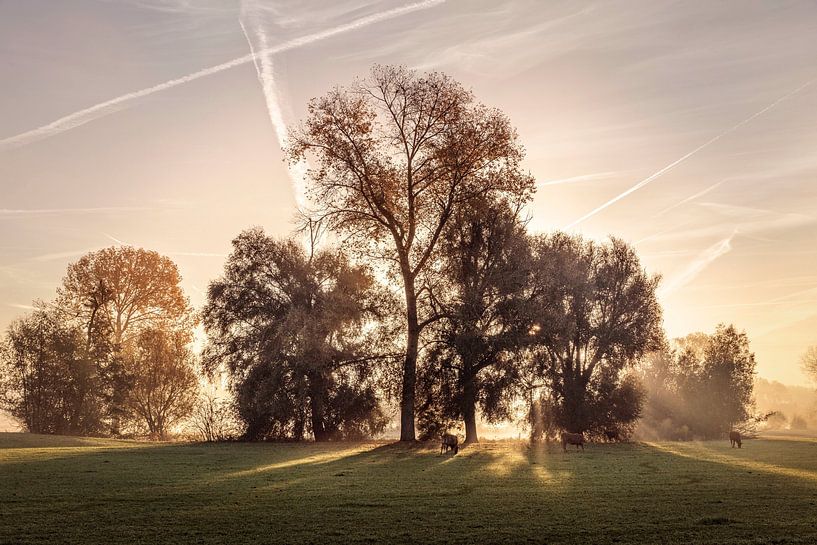Sunrise Geul valley by Rob Boon