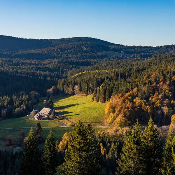 Black Forest House in the Upper Black Forest by Werner Dieterich