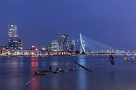 Het Maasbeeld met het zicht op het Noordereiland in Rotterdam van MS Fotografie | Marc van der Stelt thumbnail