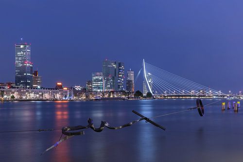 Het Maasbeeld met het zicht op het Noordereiland in Rotterdam