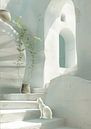 Blanca by Mirjam Duizendstra thumbnail