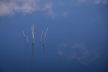Blaue Reflexion im Wasser eines Teiches