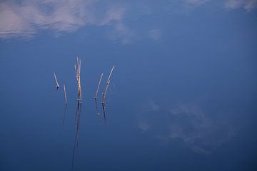 Blaue Reflexion im Wasser eines Teiches