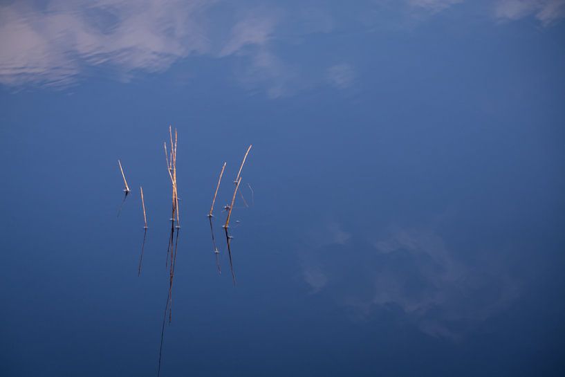 Blaue Reflexion im Wasser eines Teiches von FotoGraaG Hanneke