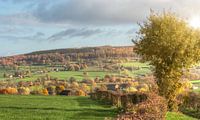 Herbstfarben in Südlimburg von John Kreukniet Miniaturansicht