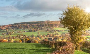 Couleurs d'automne dans le sud du Limbourg