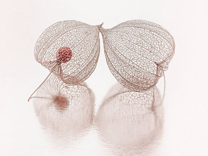 Still life: Empty Inside by Marjolijn van den Berg