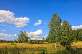 Een zomerdag in het natuurreservaat Irndorfer Hardt in het natuurpark Obere Donau – district Tuttlingen van BlattArt - Christine Horn