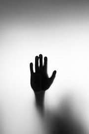 The Hand von Dennis Terwel