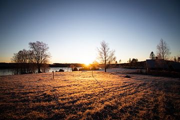 Ijzige zonsopkomst bij een meer in Zweden van thomaswphotography