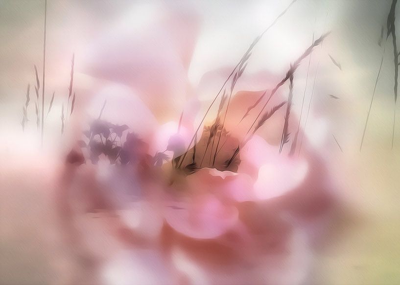 summer of roses by Dagmar Marina