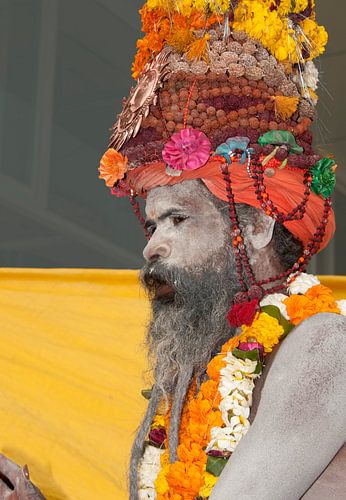 Guru