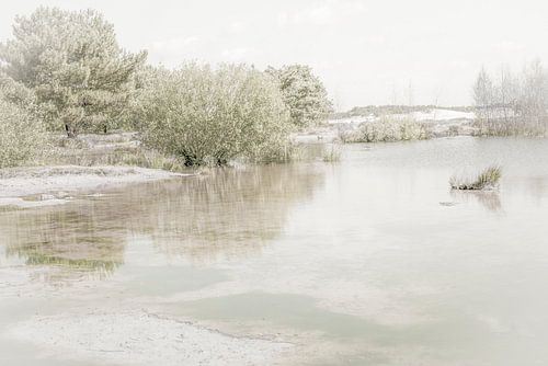 De Loonse en Drunense duinen. Brabant.