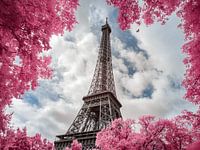 Tour L'amour