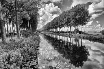 Damse Vaart by Richard Wareham