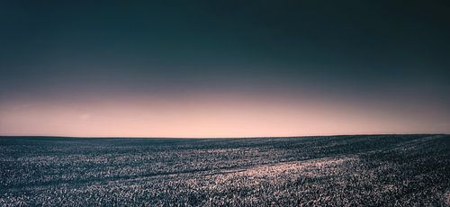 Horizon foto van een veld in de zomer in de felle zon - Windows XP - Polen in de zomer