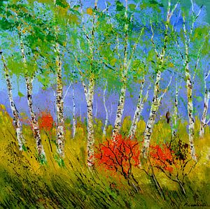 Aspentrees and orange trees van pol ledent