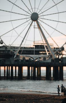 Zomeravond in Scheveningen van Endre Lommatzsch