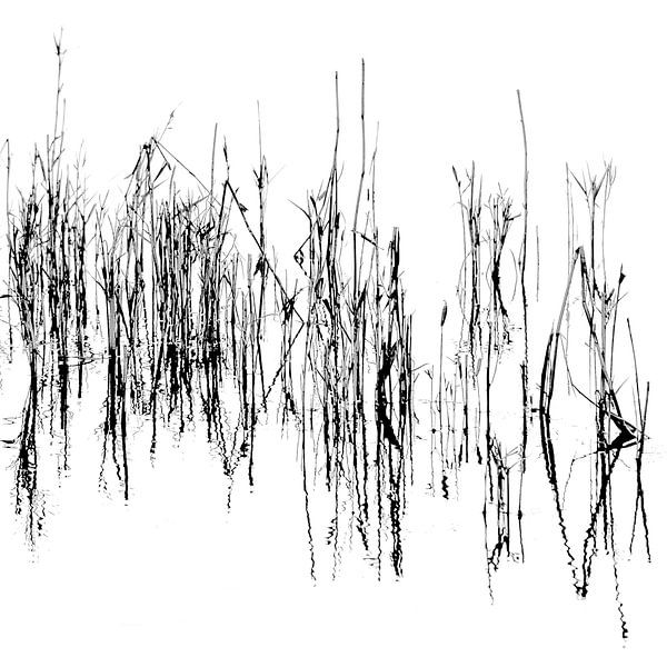  Abstract  zwart-wit van Bert Bouwmeester