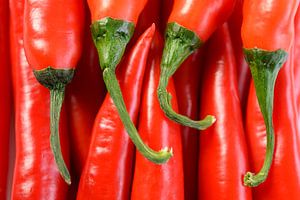 Ein Bund roter, reifer, scharfer Chilischoten. von Sjoerd van der Wal Fotografie