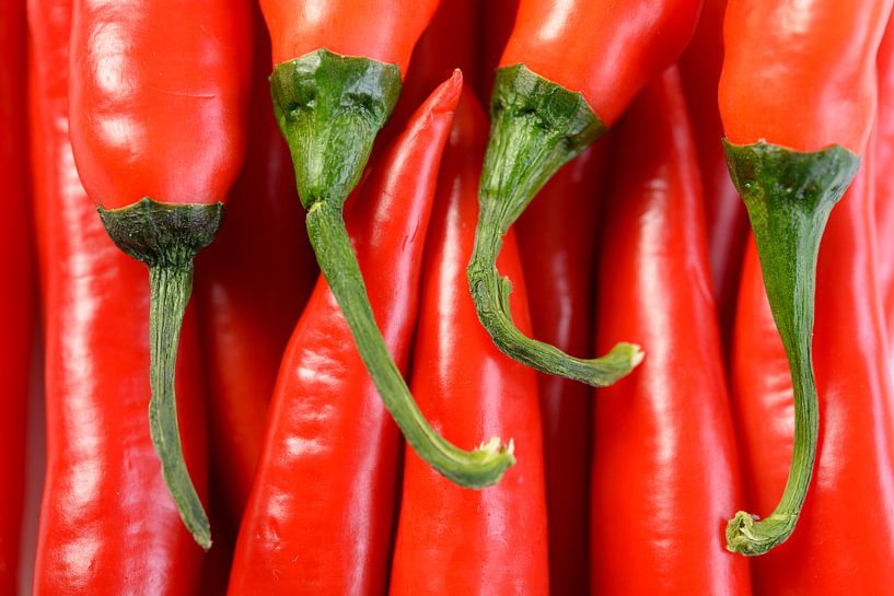 Ein Bund roter, reifer, scharfer Chilischoten. von Sjoerd van der Wal Fotografie