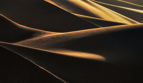 Caresse légère sur Babak Mehrafshar