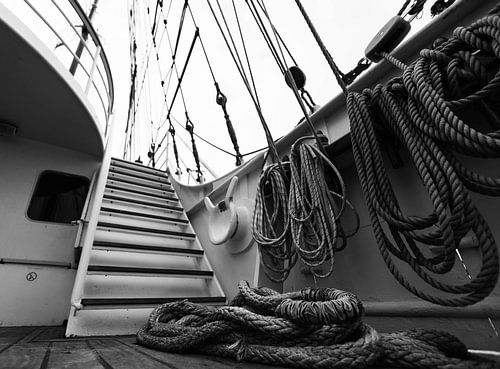 rope work in the harbour of Harlingen