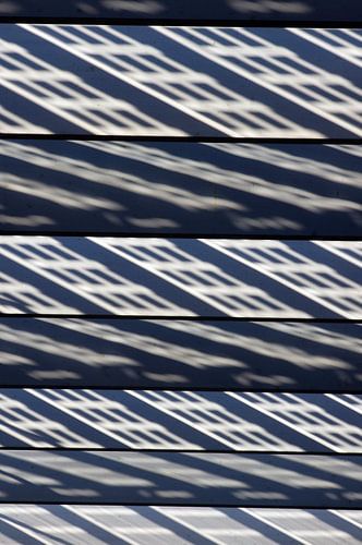 Dak van Centraal Station Rotterdam