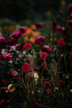 Fine art flower garden | print flowers | flower garden by Anouk Strijbos