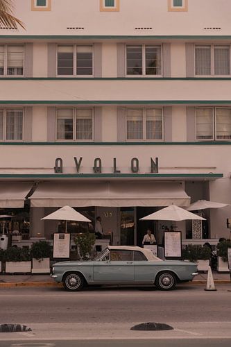 Ocean Drive by Jalisa Oudenaarde