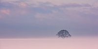 L'hiver dans la province de Groningue par Henk Meijer Photography Aperçu