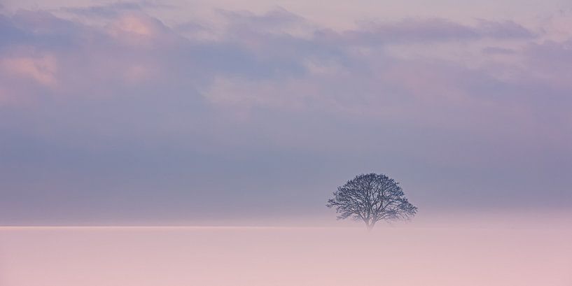 Winter in der Provinz Groningen von Henk Meijer Photography