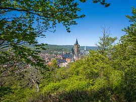 Wernigerode - Blick auf Schloss und Stadt