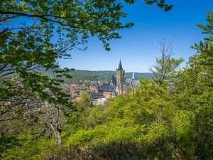 Wernigerode - Blick auf Schloss und Stadt