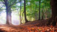 Herfst.