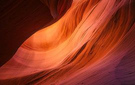 Soft natural lines by Loris Photography