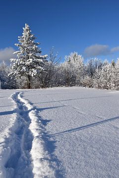 Voetafdrukken in de sneeuw van Claude Laprise