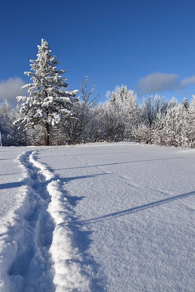 Footprints in the snow by Claude Laprise