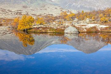 Dørålen Herbst von Sven-Erik Arndt